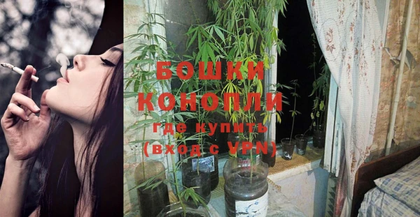 ECSTASY Инсар