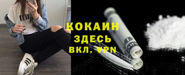 ECSTASY Инсар