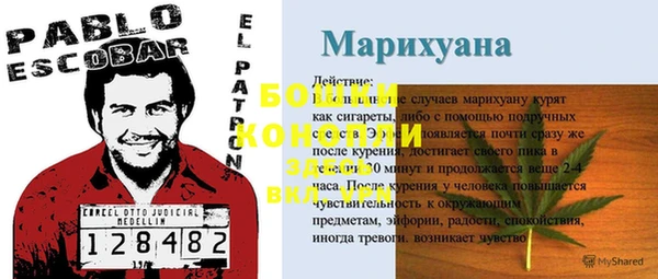 прущая мука Каменногорск
