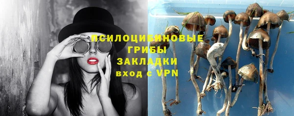 прущая мука Каменногорск